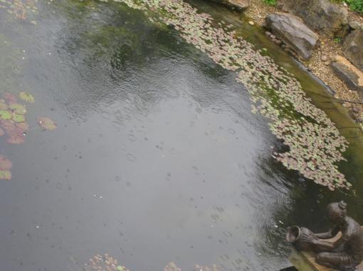 May 23rd A little rain today